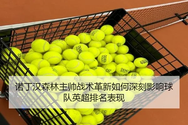 诺丁汉森林主帅战术革新如何深刻影响球队英超排名表现
